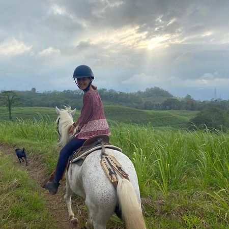 ホテル Hacienda Monteclaro トゥリアルバ エクステリア 写真