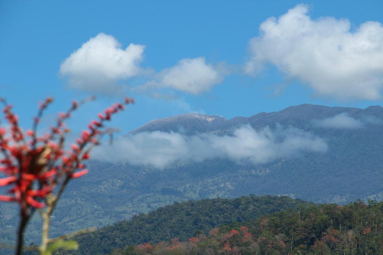 ホテル Hacienda Monteclaro トゥリアルバ 部屋 写真
