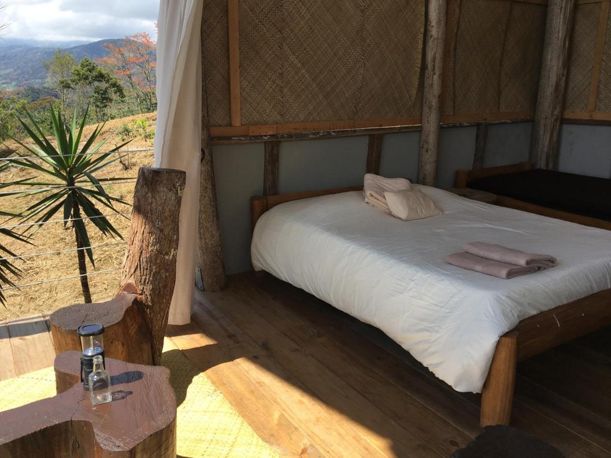ホテル Hacienda Monteclaro トゥリアルバ エクステリア 写真
