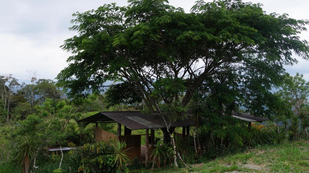 ホテル Hacienda Monteclaro トゥリアルバ エクステリア 写真