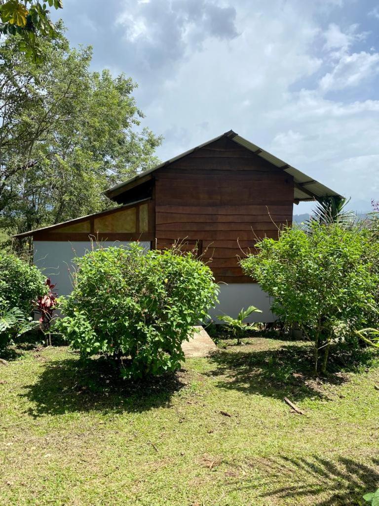 ホテル Hacienda Monteclaro トゥリアルバ エクステリア 写真