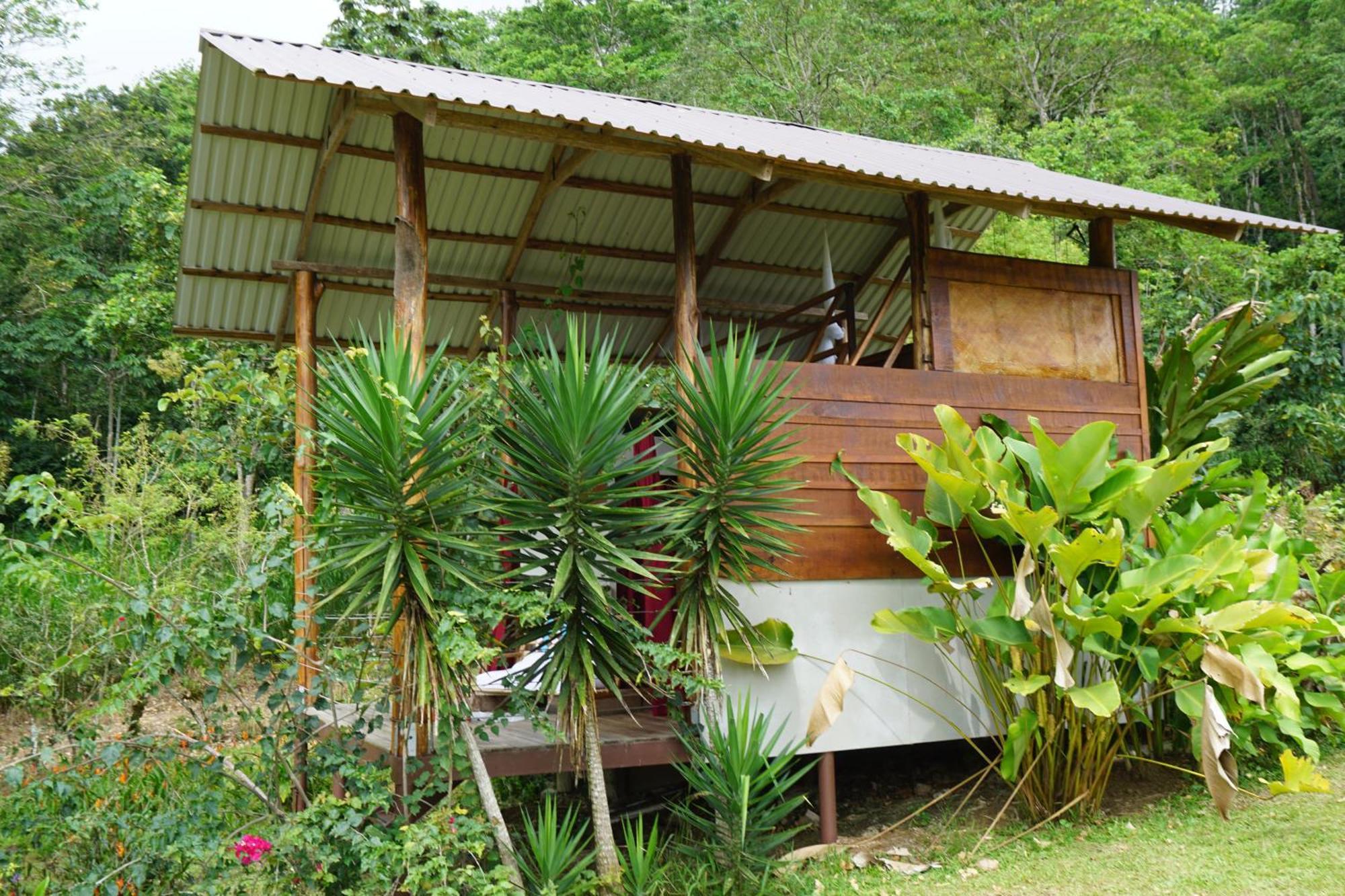 ホテル Hacienda Monteclaro トゥリアルバ エクステリア 写真