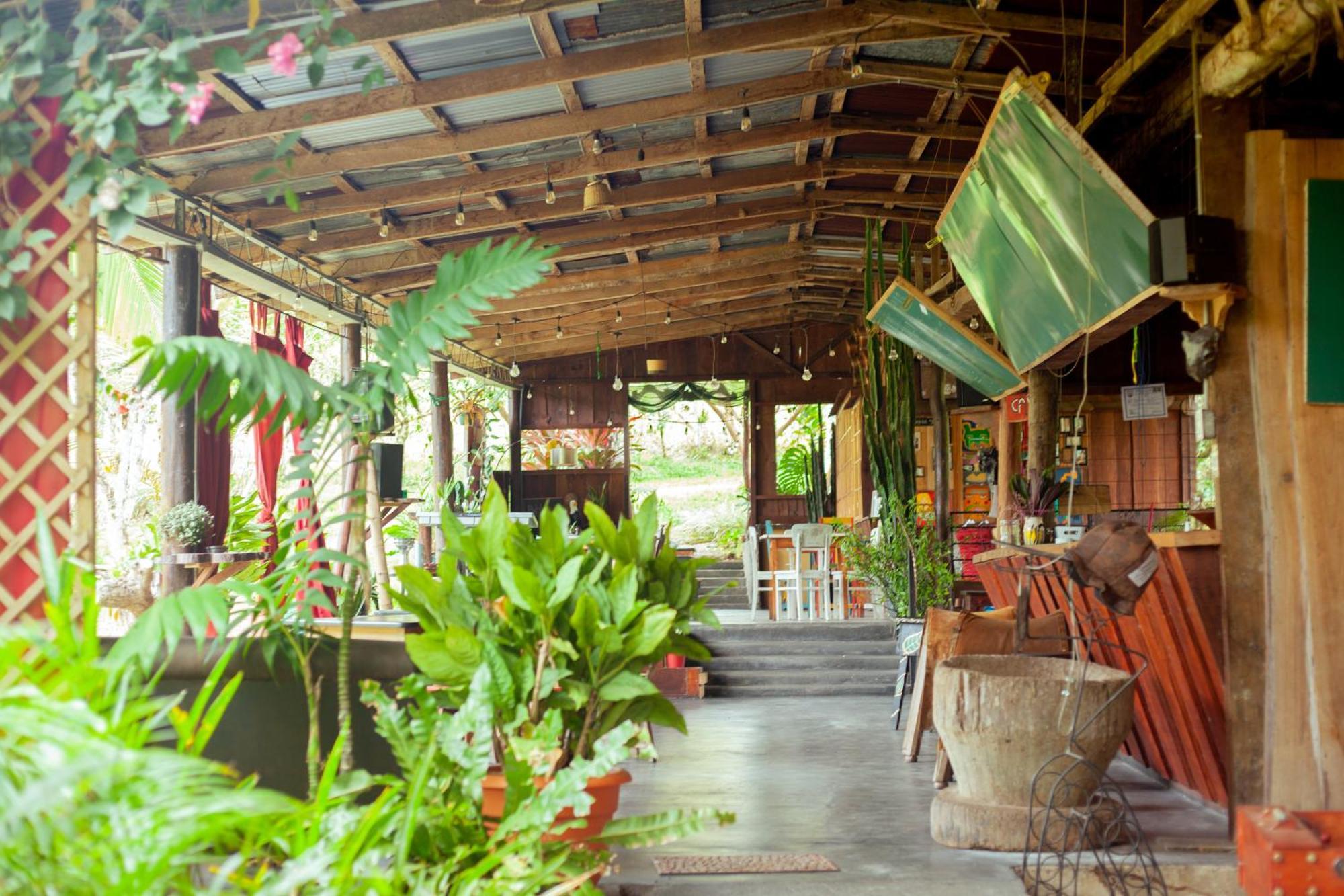 ホテル Hacienda Monteclaro トゥリアルバ エクステリア 写真