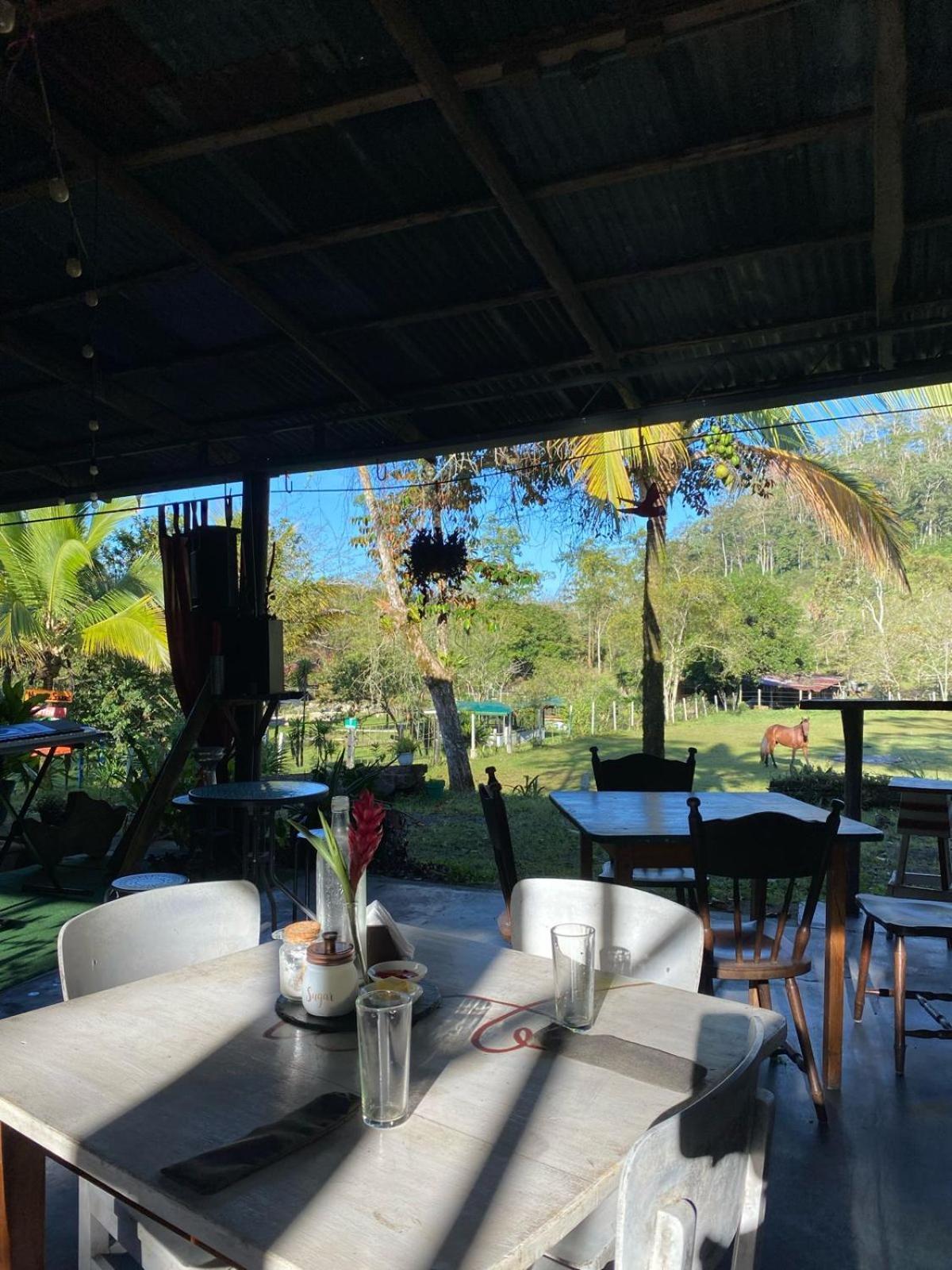 ホテル Hacienda Monteclaro トゥリアルバ エクステリア 写真