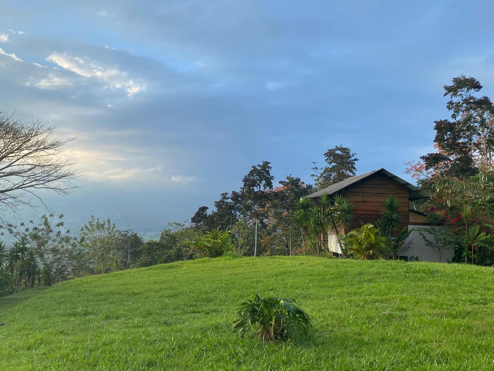 ホテル Hacienda Monteclaro トゥリアルバ エクステリア 写真